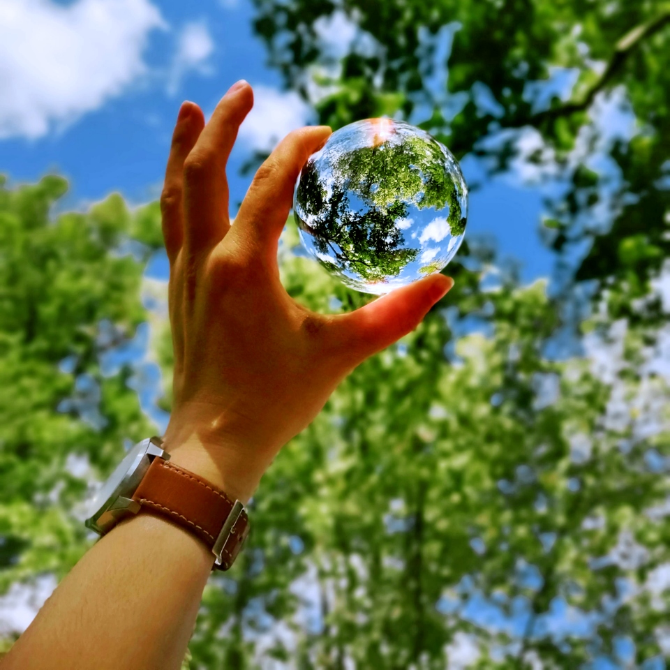 Sustain the earth through Sustainability and Sustainable Development