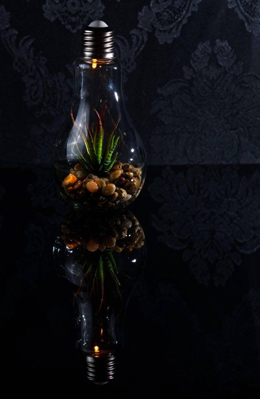 Lightbulb, Energy, Environmental protection image. https://pixabay.com/photos/lightbulb-energy-3930488/