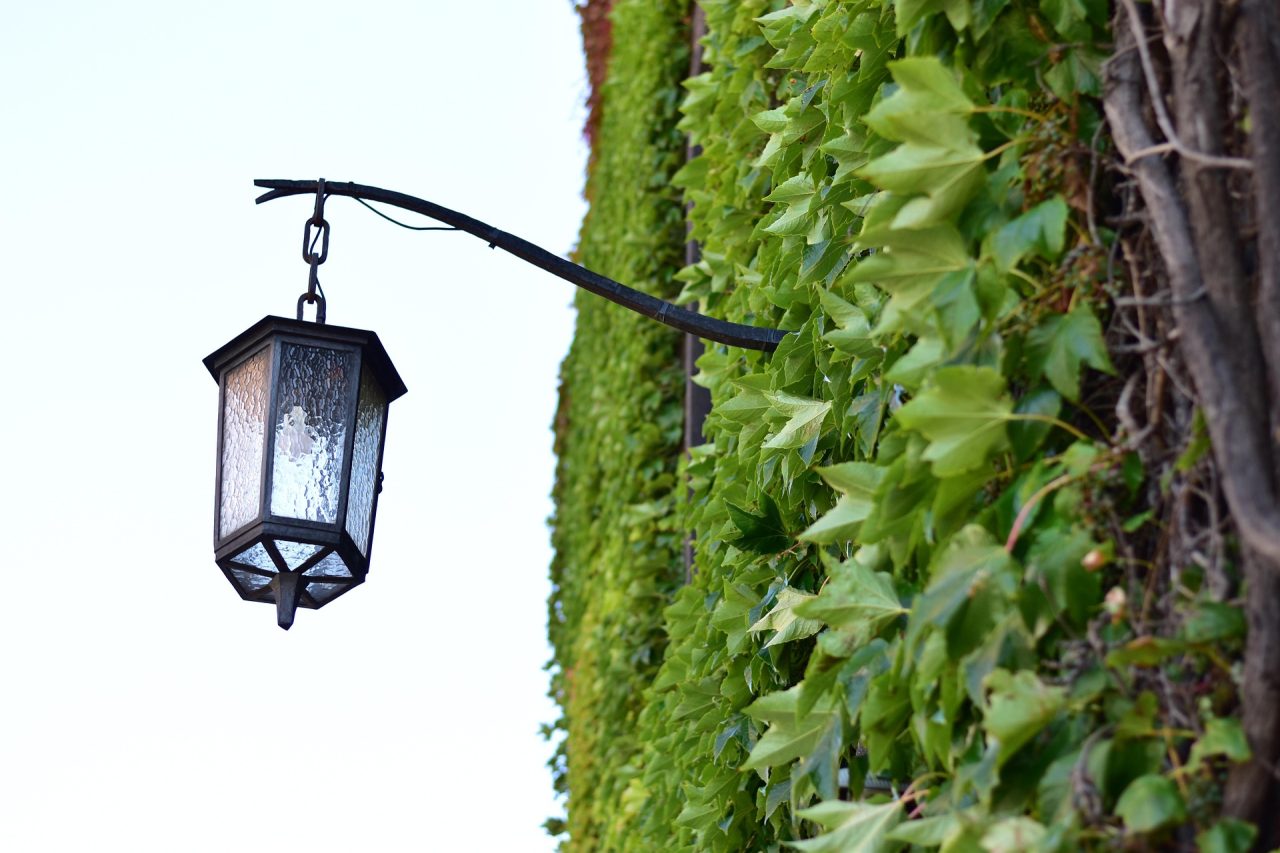 Lamp, Green, Bulb image. https://pixabay.com/photos/lamp-green-bulb-lantern-ivy-4594088/